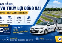Học Lái Xe Ô Tô Tại Đồng Nai – Địa Chỉ Đào Tạo Bằng Lái Uy Tín, Chất Lượng 